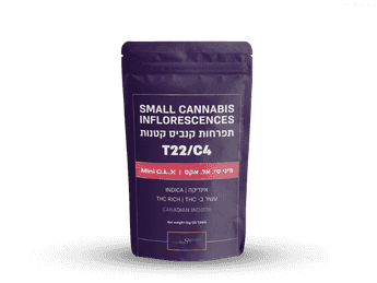 תפרחת סי.אל.אקס - T22/C4 - C.L.X