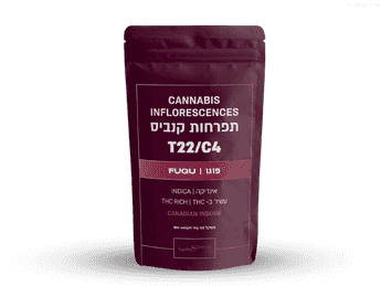 תפרחת פוגו - T22/C4 - Fugu