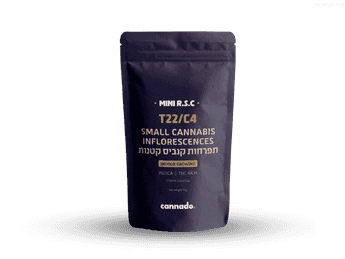 תפרחת אר.אס.סי מיני - T22/C4 - R.S.C Mini