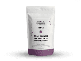 תפרחת רוקס ג'יי אר מיני - T22/C4 - Rox JR Mini