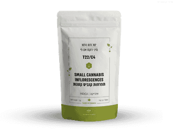 תפרחת רוקס אם פי מיני - T22/C4 - Rox MP Mini