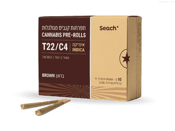 גליליות בראון - T22/C4 - Brown