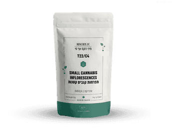 תפרחת רוקס אף סי מיני - T22/C4 - Rox FC Mini