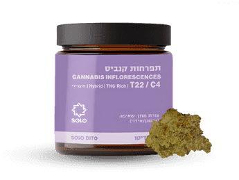 תפרחת סולו דיטו - T22/C4 - SOLO Dito