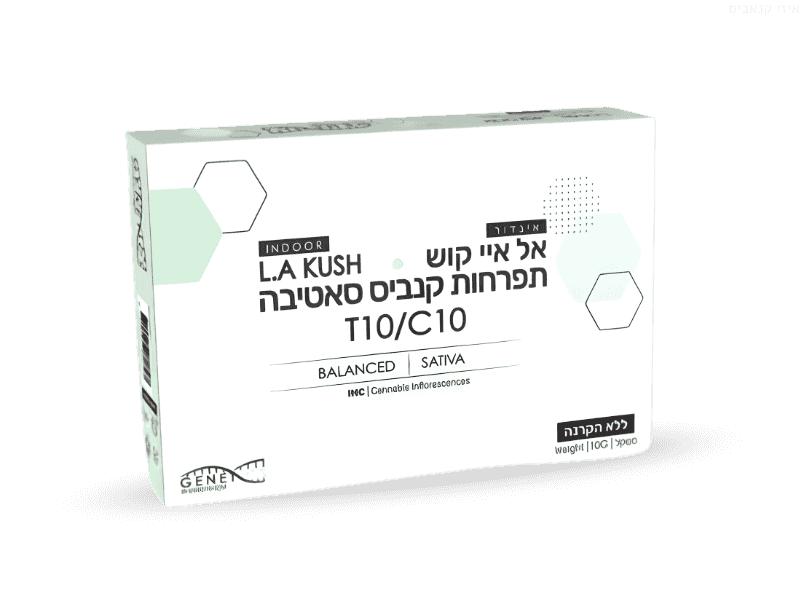 קנאביס רפואי תפרחת אל איי קוש - T10/C10 - L.A Kush גרינקום יום - סאטיבה