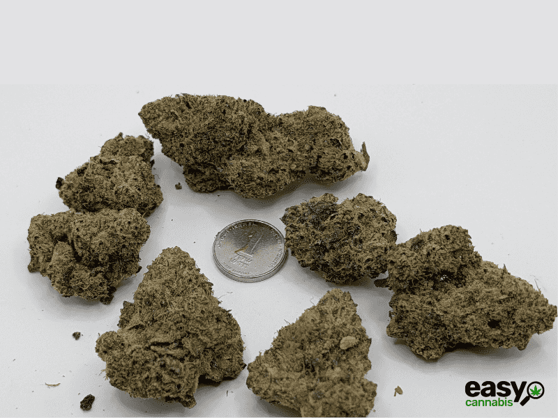 קנאביס רפואי תפרחת רינץ' איקס - T22/C4 - Rinch X גרינקום יום\לילה - היברידי