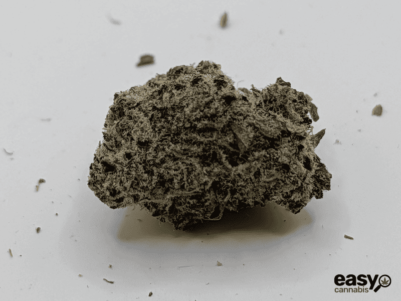 קנאביס רפואי תפרחת רינץ' איקס - T22/C4 - Rinch X גרינקום יום\לילה - היברידי