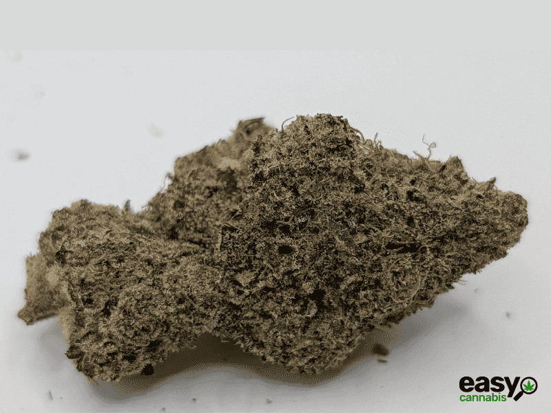 קנאביס רפואי תפרחת רינץ' איקס - T22/C4 - Rinch X גרינקום יום\לילה - היברידי