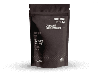 תפרחת דוארו - T22/C4 - DUORO