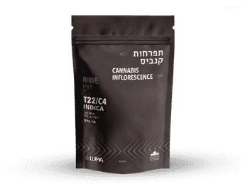 תפרחת ראיין - T22/C4 - Rhine