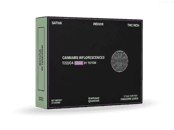 תפרחת קויה - T22/C4 - Coya