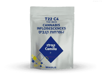 תפרחת קמילה - T22/C4 - Camilla