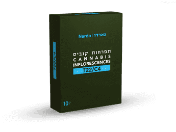 תפרחת נארדו - T22/C4 - Bruno