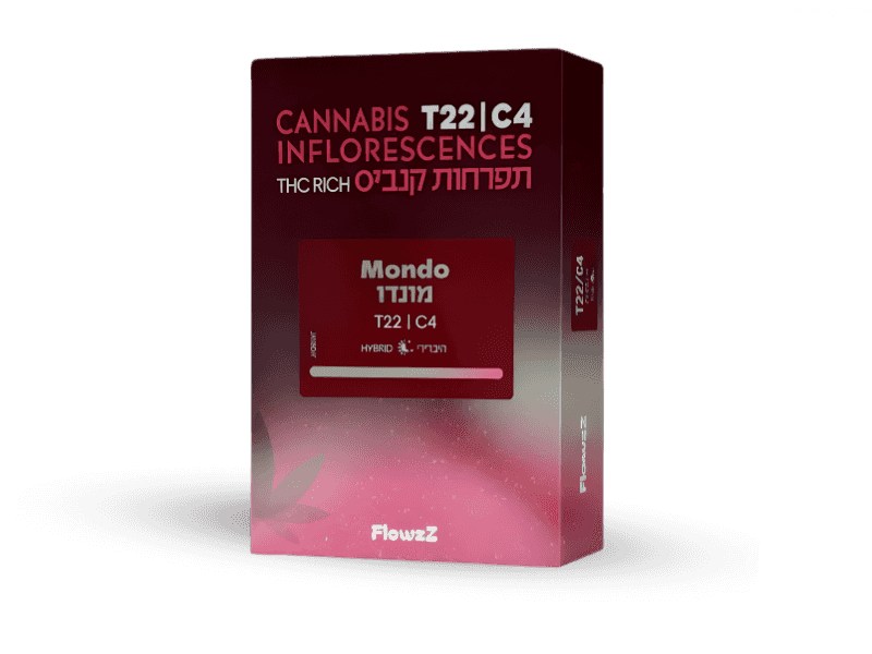 קנאביס רפואי תפרחת מונדו - T22/C4 - Mondo בזלת פארמה יום\לילה - היברידי