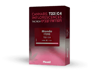 תפרחת מונדו - T22/C4 - Mondo