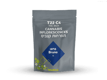 תפרחת ברונו - T22/C4 - Bruno
