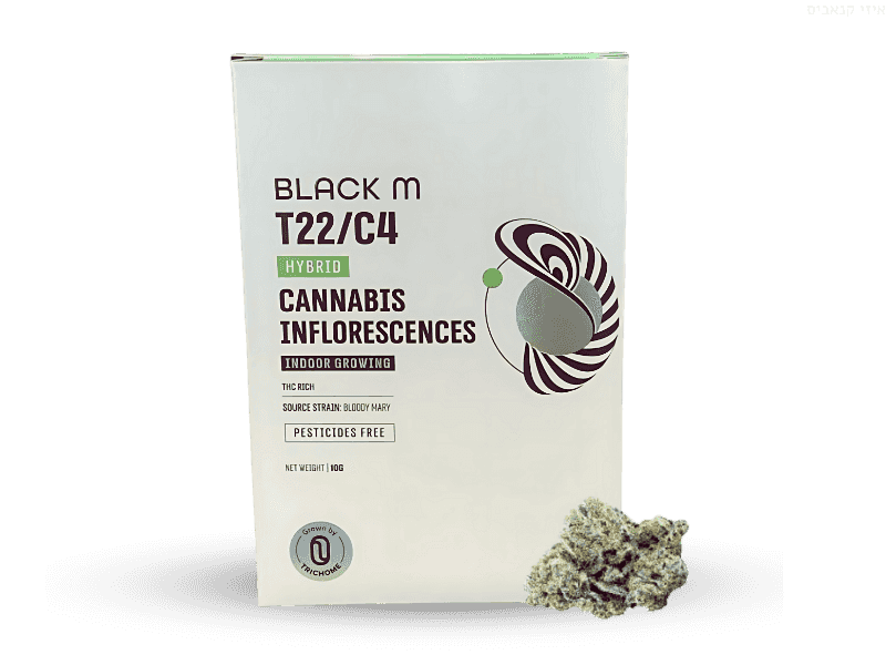 קנאביס רפואי תפרחת בלאק אם - T22/C4 - Black M טריכום יום\לילה - היברידי