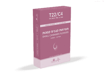 תפרחת קונג 44 מיני - T22/C4 - Kong 44 Mini