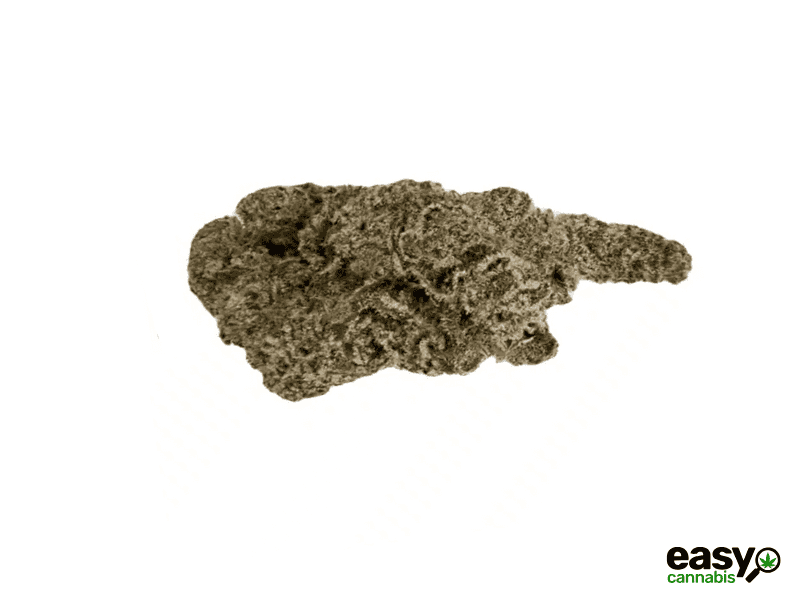 קנאביס רפואי תפרחת סבסטיאן - T22/C4 - SEBASTIAN שיח מדיקל לילה - אינדיקה