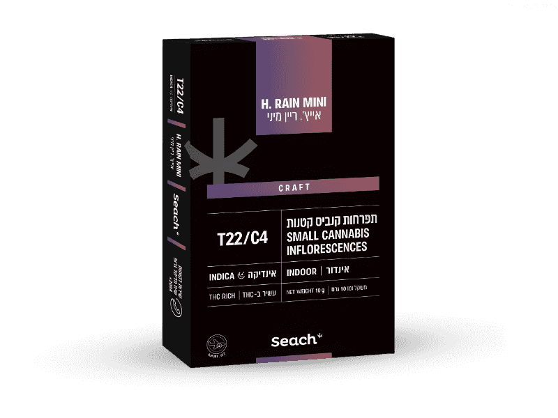 קנאביס רפואי תפרחת אייץ' ריין מיני - T22/C4 - Hrain Mini שיח מדיקל לילה - אינדיקה