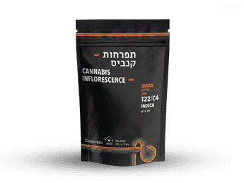 תפרחת אורינוקו - T22/C4 - Orinoco