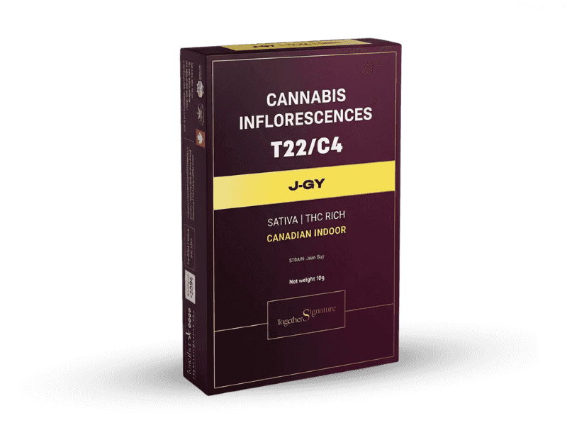 קנאביס רפואי תפרחת ג'יי-ג'י.וואי - T22/C4 - J-GY טוגדר פארמה יום\לילה - היברידי