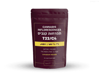 תפרחת ג'יי-ג'י.וואי - T22/C4 - J-GY