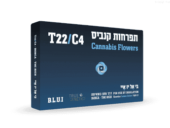 תפרחת בי.אל.יו.איי  - T22/C4 - B.L.U.I