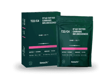 תפרחת די-601 - T22/C4 - D-601
