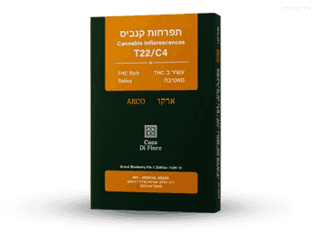 תפרחת ארקו - T22/C4 - Arco