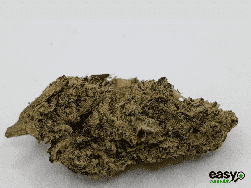 קנאביס רפואי תפרחת סנו לוטוס - T22/C4 - Snow Lotus פיס נטורלס לילה - אינדיקה