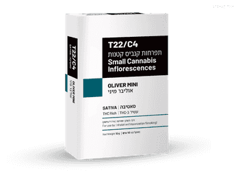 תפרחת אוליבר מיני - T22/C4 - Oliver Mini