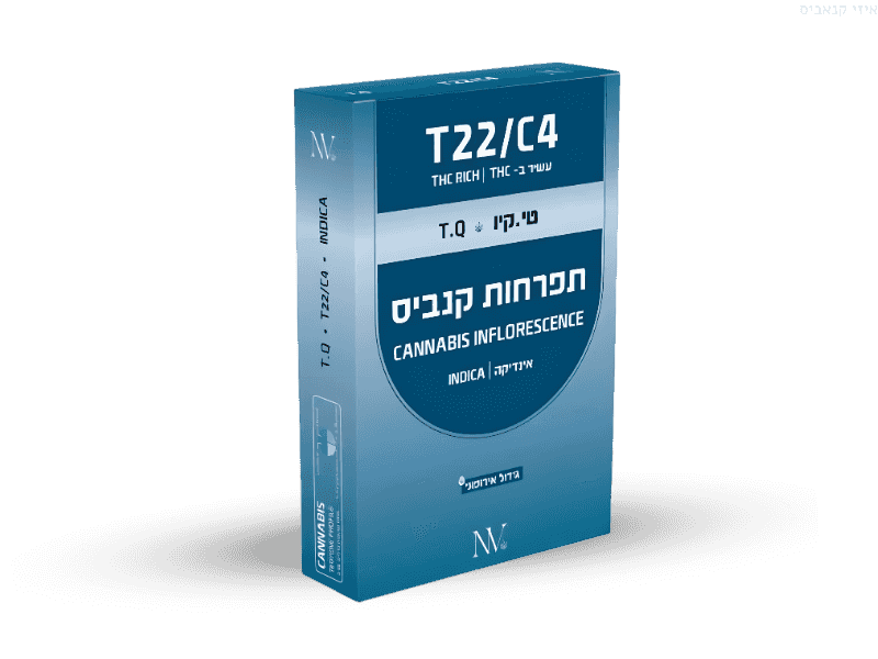 קנאביס רפואי תפרחת טי.קיו - T22/C4 - T.Q נובה קנאביס לילה - אינדיקה