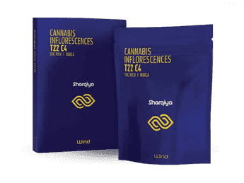 תפרחת שרקייה - T22/C4 - SHARQIYA