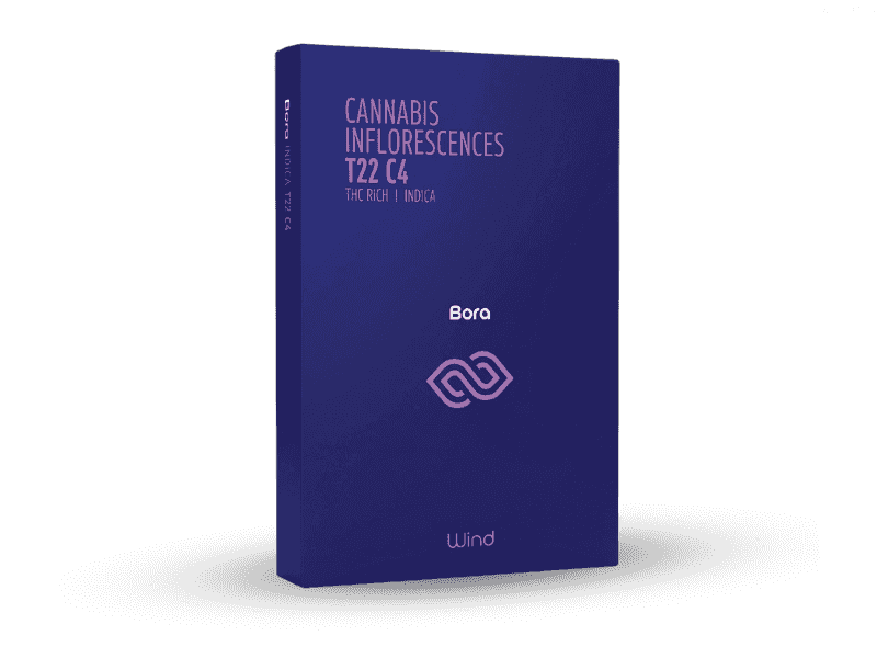 קנאביס רפואי תפרחת בורה - T22/C4 - BORA בזלת פארמה לילה - אינדיקה