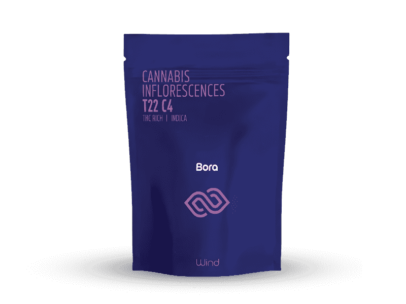 קנאביס רפואי תפרחת בורה - T22/C4 - BORA בזלת פארמה לילה - אינדיקה