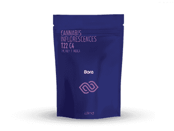 תפרחת בורה - T22/C4 - BORA