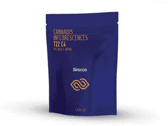 תפרחת שירוקו - T22/C4 - SIROCO