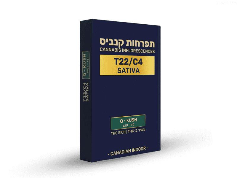 קנאביס רפואי תפרחת קיו-קוש - T22/C4 - Q-Kush גרין פארמה יום - סאטיבה