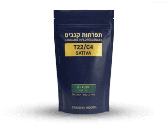 תפרחת קיו-קוש - T22/C4 - Q-Kush