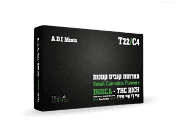 תפרחת איי.די.איי - T22/C4 - ADI