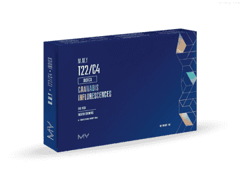 תפרחת אם.אם.וואי - T22/C4 - M.M.Y