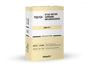 תפרחת לאנה - T22/C4 - Lana