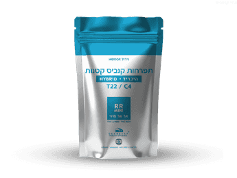 תפרחת אר אר מיני - T22/C4 - RR Mini