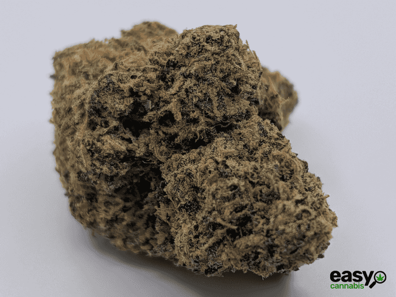 קנאביס רפואי תפרחת לגאטו  - T22/C4 - Legato מדוקאן לילה - אינדיקה