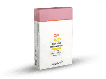 תפרחת זיו - T15/C3 - Ziv