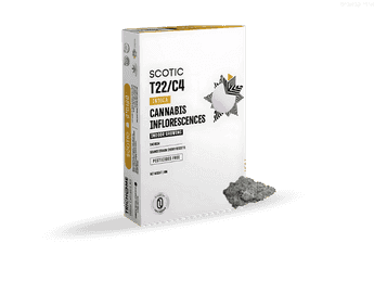 תפרחת סקוטיק - T22/C4 - Scotic