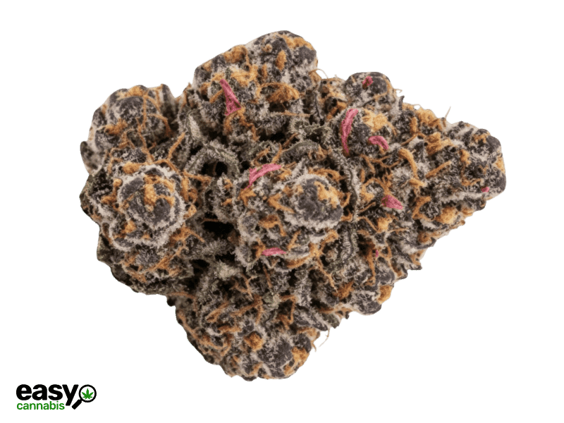 קנאביס רפואי תפרחת די.זי - T22/C4 - D.Z נובה קנאביס לילה - אינדיקה