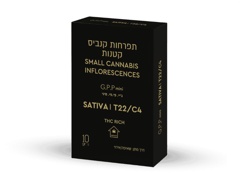 קנאביס רפואי תפרחת ג'י.פיפי מיני - T22/C4 - G.PP Mini תיקון עולם לילה - אינדיקה