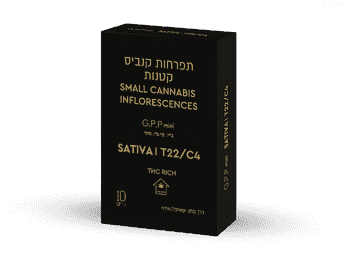תפרחת ג'י.פיפי מיני - T22/C4 - G.PP Mini